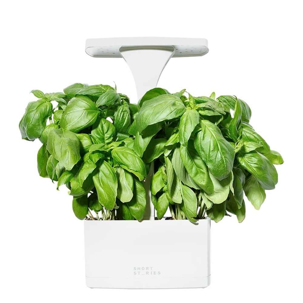 Short Stories LED Indoor Planter. NEW IN BOX.